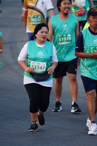 BIB: 50212, 51970, 53147
                            <button type="button" onclick="openModal(10525032)" class="btn btn-primary btn-sm float-right btn-popup" data-toggle="modal" data-target=".modal-high-quality">
                        <i class="fas fa-shopping-cart"></i> Add to Cart
                    </button>
                                            <button type="button" onclick="isThisMe(10525032, true)" class="btn btn-success btn-sm float-right btn-popup btn-isme hidden" data-toggle="tooltip" data-placement="bottom" title="นี่คือรูปของคุณใช่ไหม คลิกที่นี่เพื่อเอาเข้าอัลบั้ม">
                        <i class="fas fa-plus"></i> Add to album
                    </button>
                    <button type="button" onclick="isThisMe(10525032, false)" class="btn btn-warning btn-sm float-right btn-popup btn-isnotme hidden">
                        <i class="fas fa-ban"></i> Remove from album
                    </button>